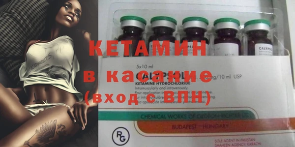 кокс Ельня