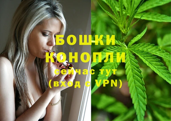 кокс Ельня