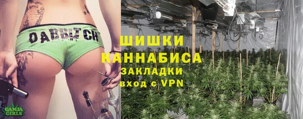 кокс Ельня