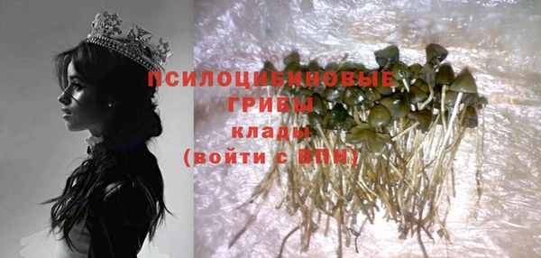 кокс Ельня