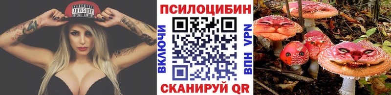 Псилоцибиновые грибы ЛСД продажа наркотиков Салаир